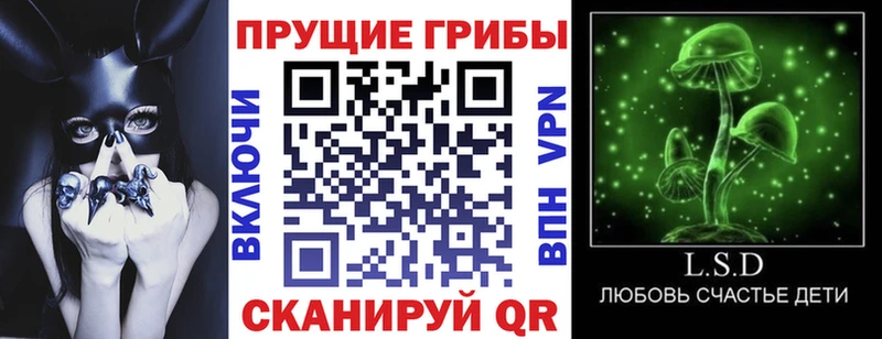 купить закладку  Сегежа  Псилоцибиновые грибы Magic Shrooms 