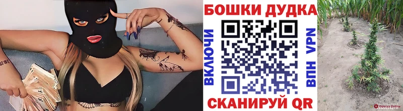 где продают наркотики  Сегежа  Канабис план 